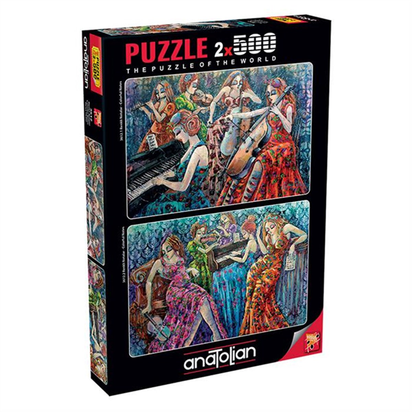 Anatolian Puzzle 2x500 Parça Renkli Notalar